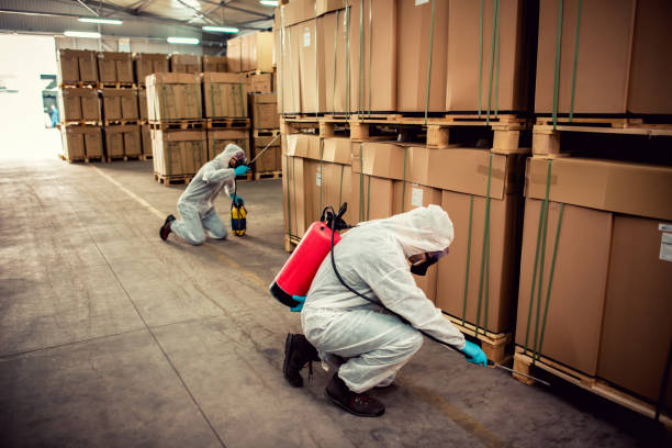 Best Pest Prevention Services  in Casa Grande, AZ