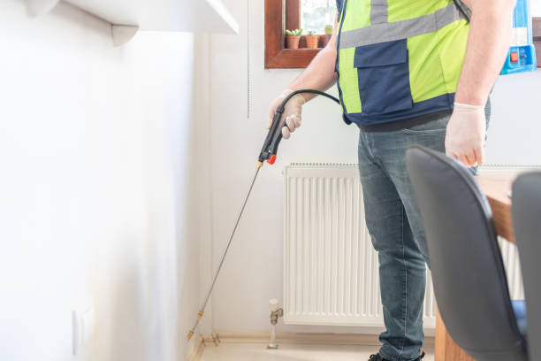 Best Affordable Pest Control Services  in Casa Grande, AZ