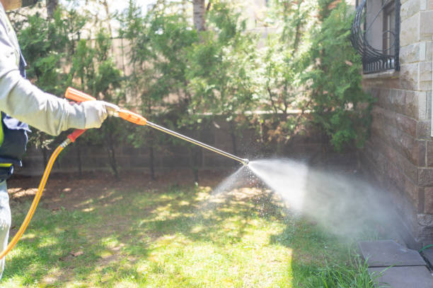 Best Best Pest Control Companies  in Casa Grande, AZ
